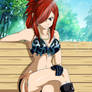 Erza Scarlet Fan Art 2, (Edolas)