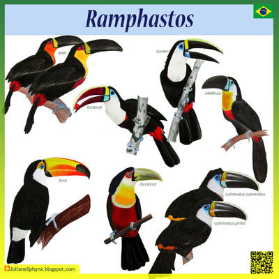 Ramphastos
