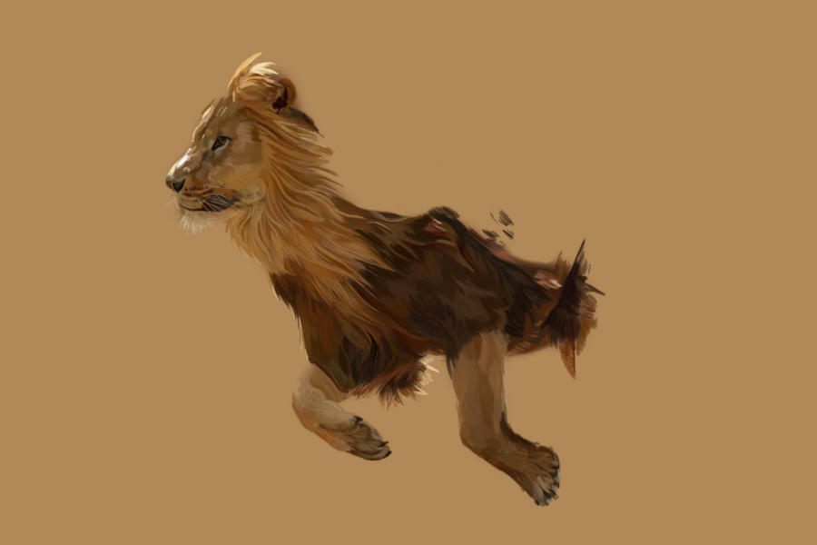 Lion WIP