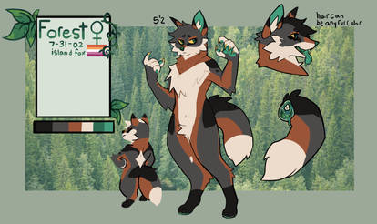 Forest 2019 Ref