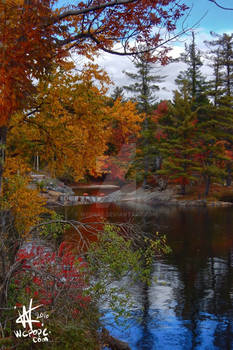 Fall colors in Upstate New York