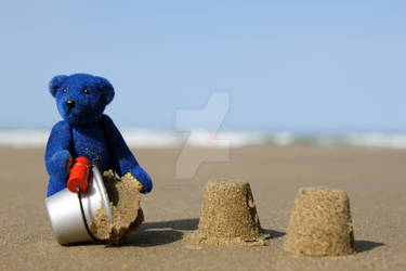 Blue Bear on the Beach!