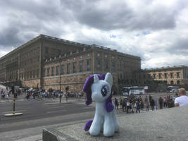 Rarity in Stockholm