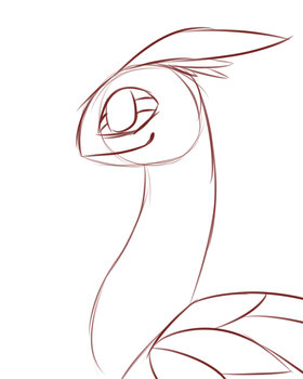 animation practice
