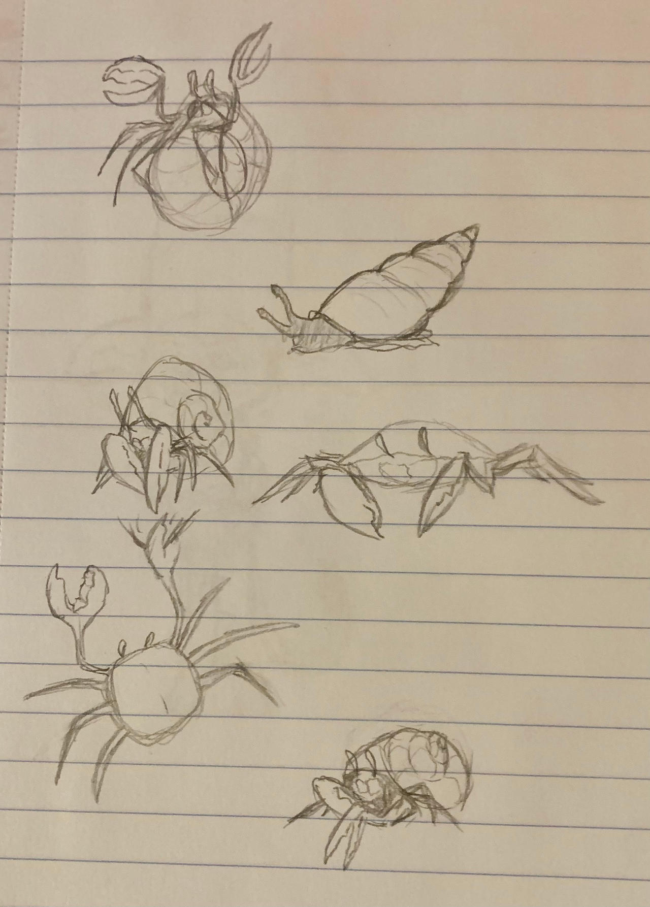 Crabs (ft. 1 snail)