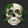 Mossy Skull