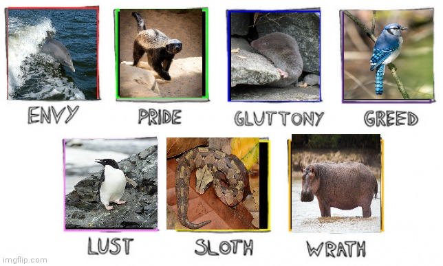 Animals of the 7 deadly sins by DracoScorpio on DeviantArt