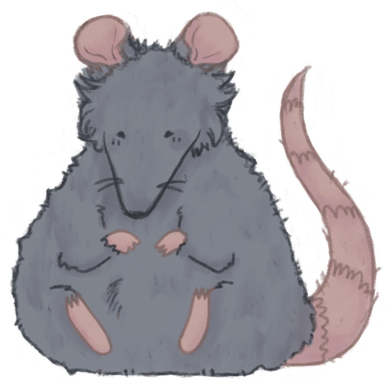 Rat Deviantart rat by Tueskii on DeviantArt