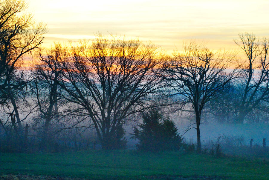 Foggy Sunrise