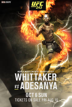 UFC 243 poster
