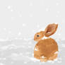 Winter Rabbit