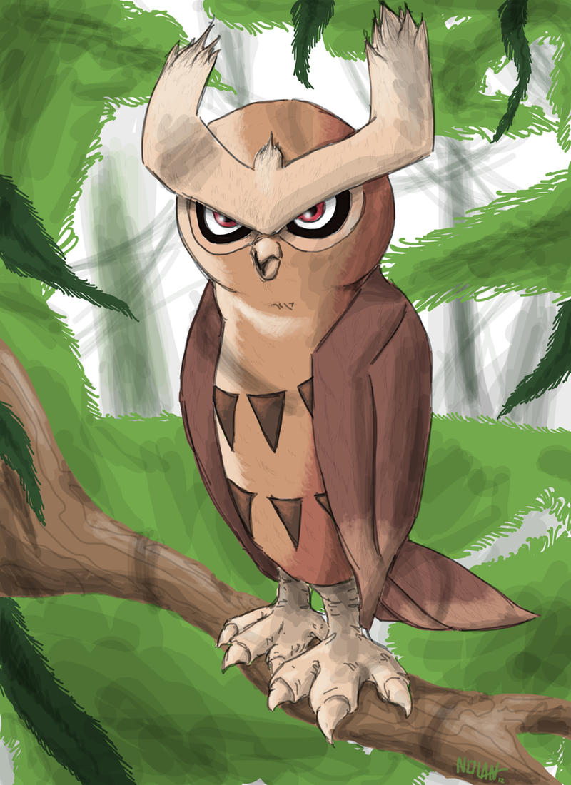 Noctowl Is Radical