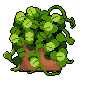 Potted plant 1