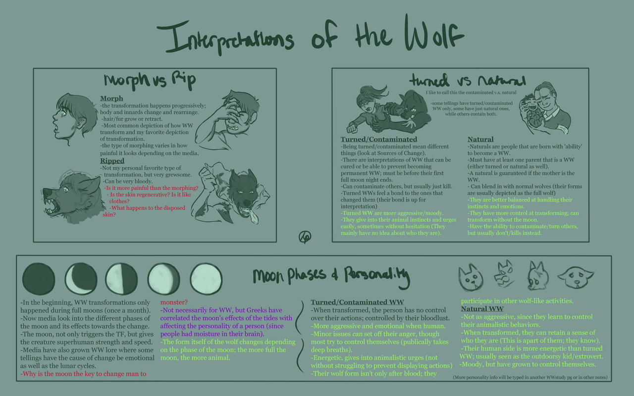 Werewolf study pg 2 by K-9lover93 on DeviantArt