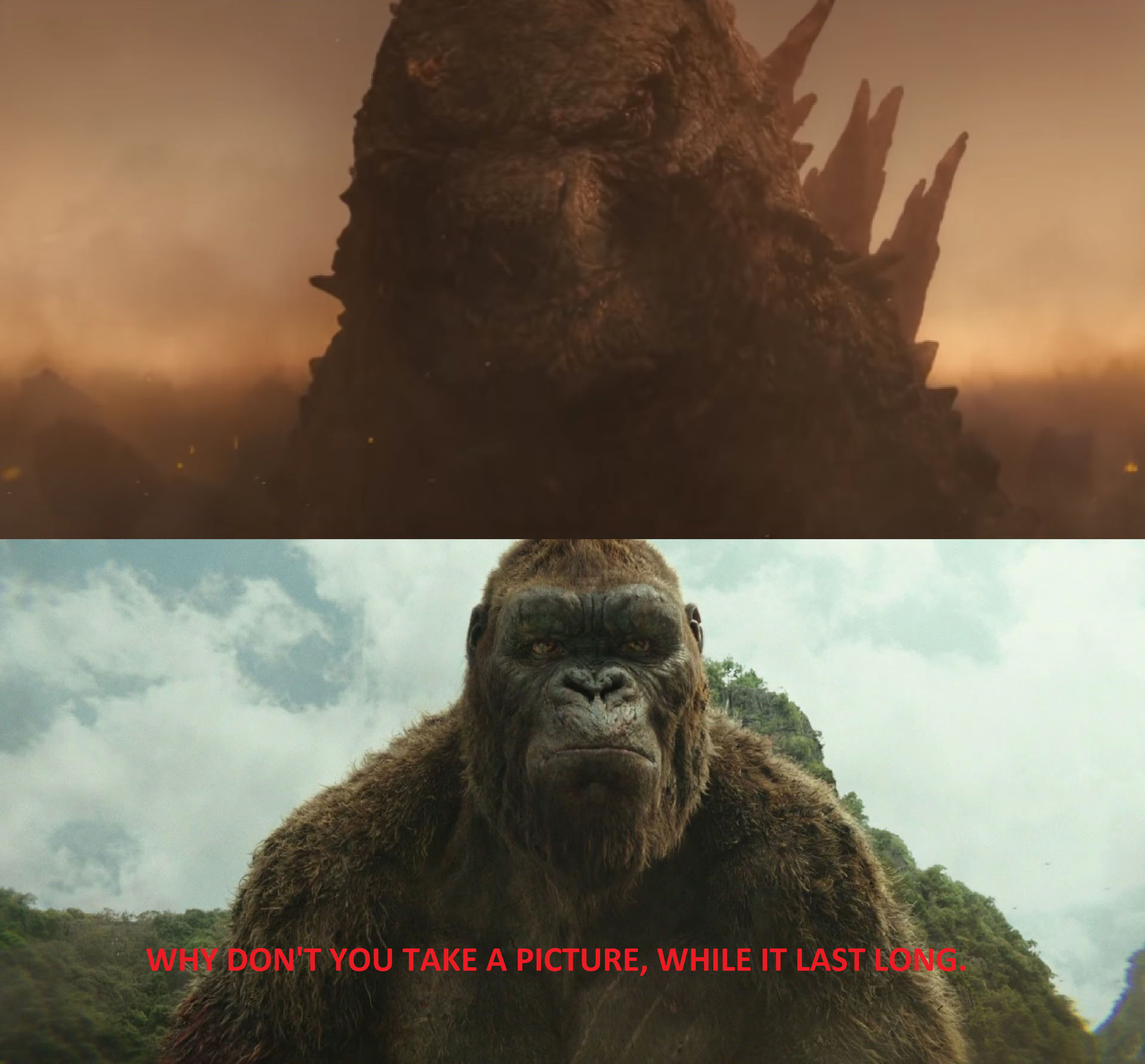 Godzilla and Kong Angry Look by MnstrFrc on DeviantArt