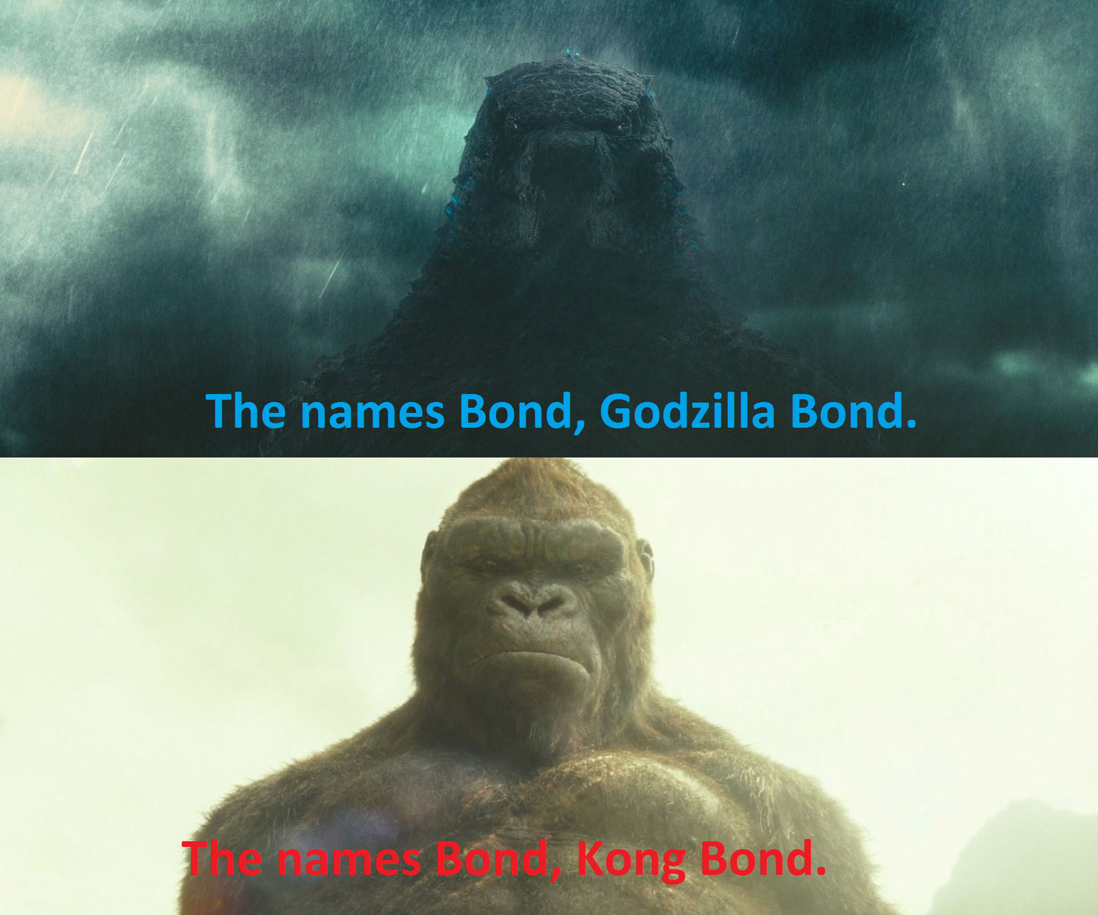 Godzilla vs Kong The Names Bond by MnstrFrc on DeviantArt