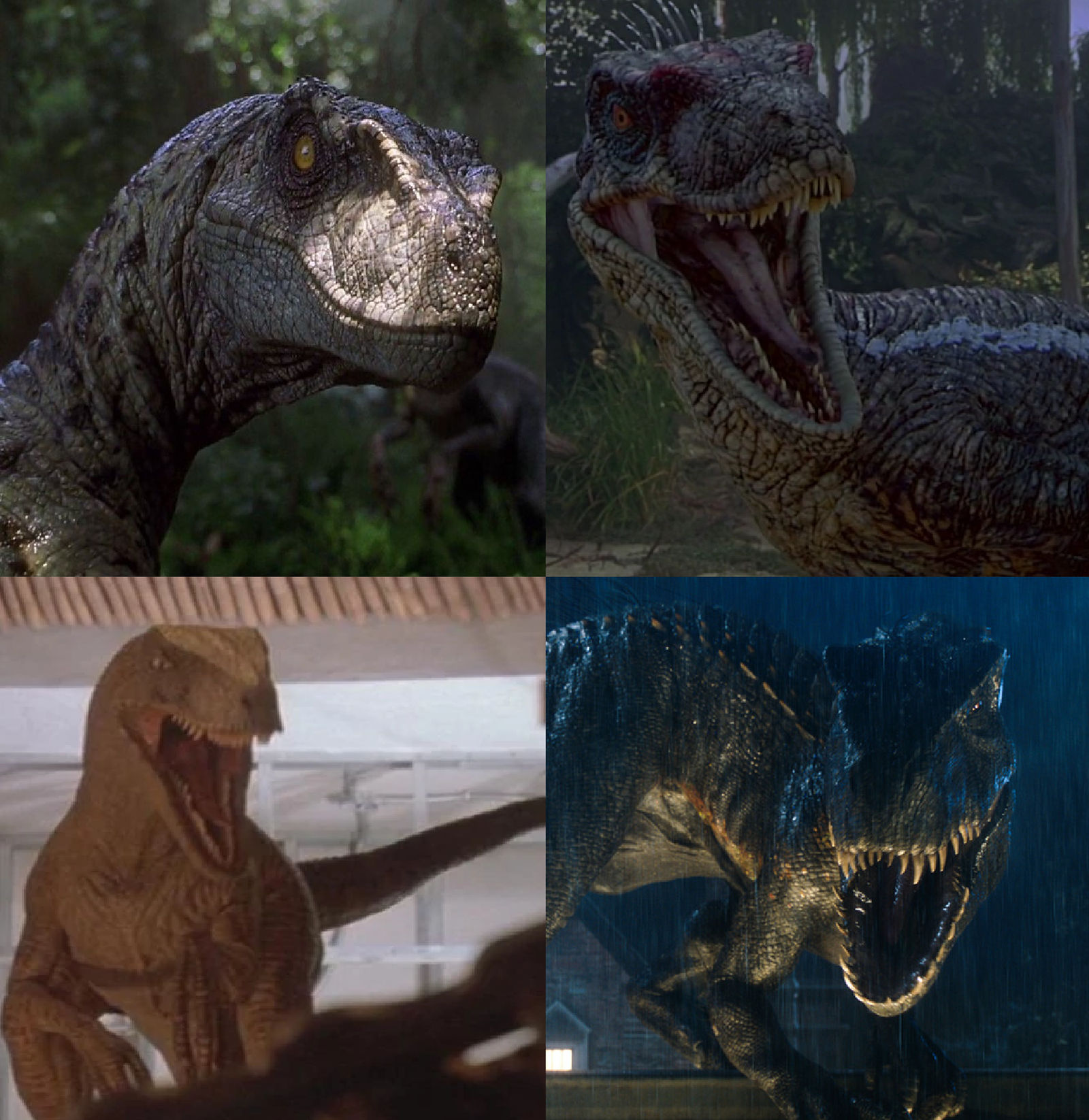 Raptor Couple vs Raptor Couple by MnstrFrc on DeviantArt