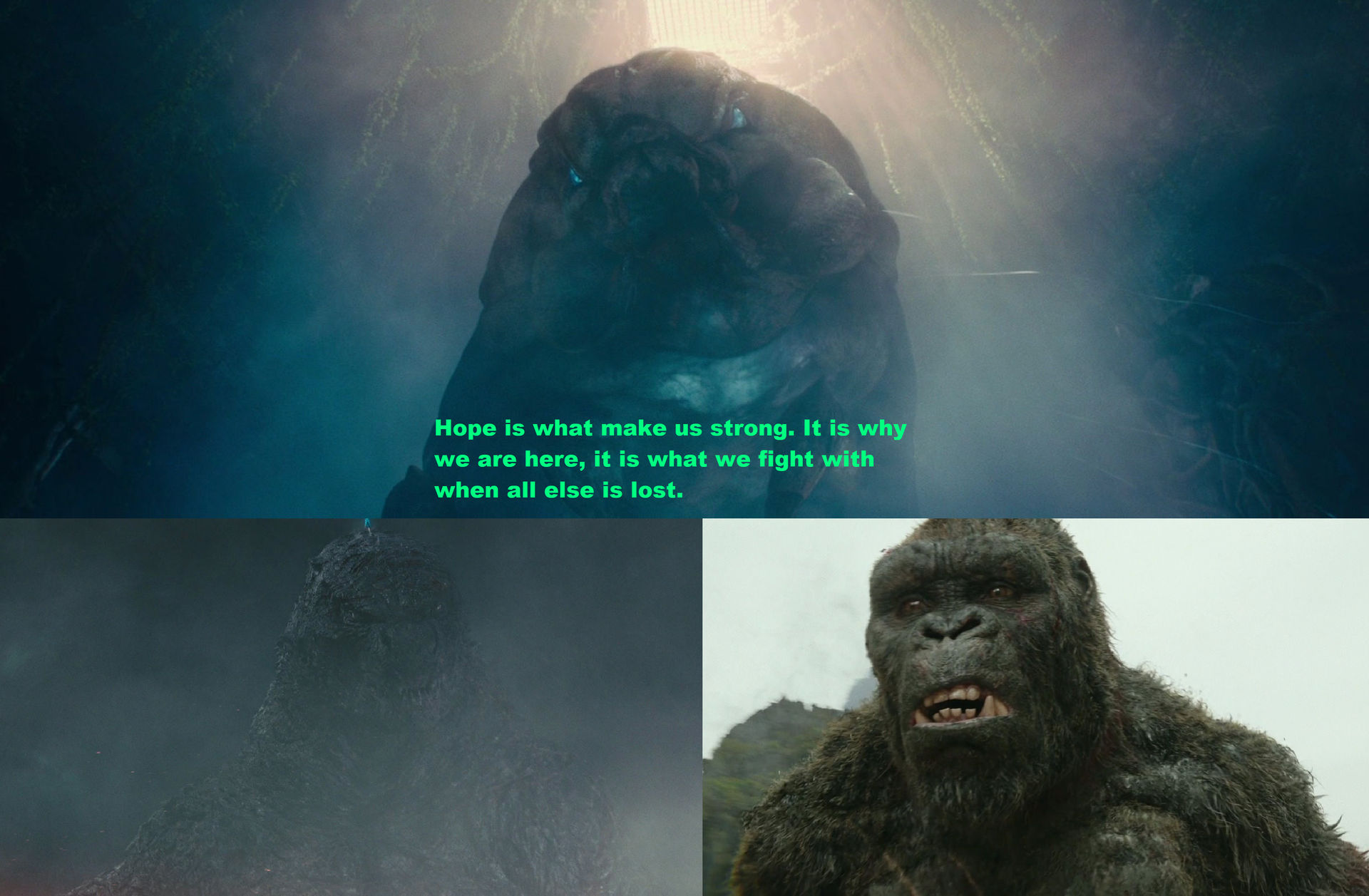 Godzilla vs Kong Hope by MnstrFrc on DeviantArt
