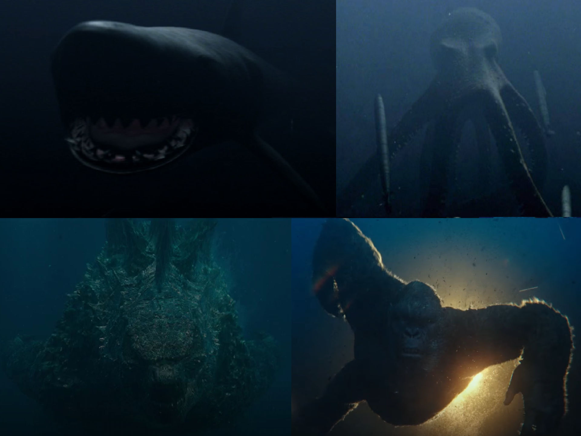 Godzilla and Kong vs Mega Shark and Giant Octopus by MnstrFrc on DeviantArt