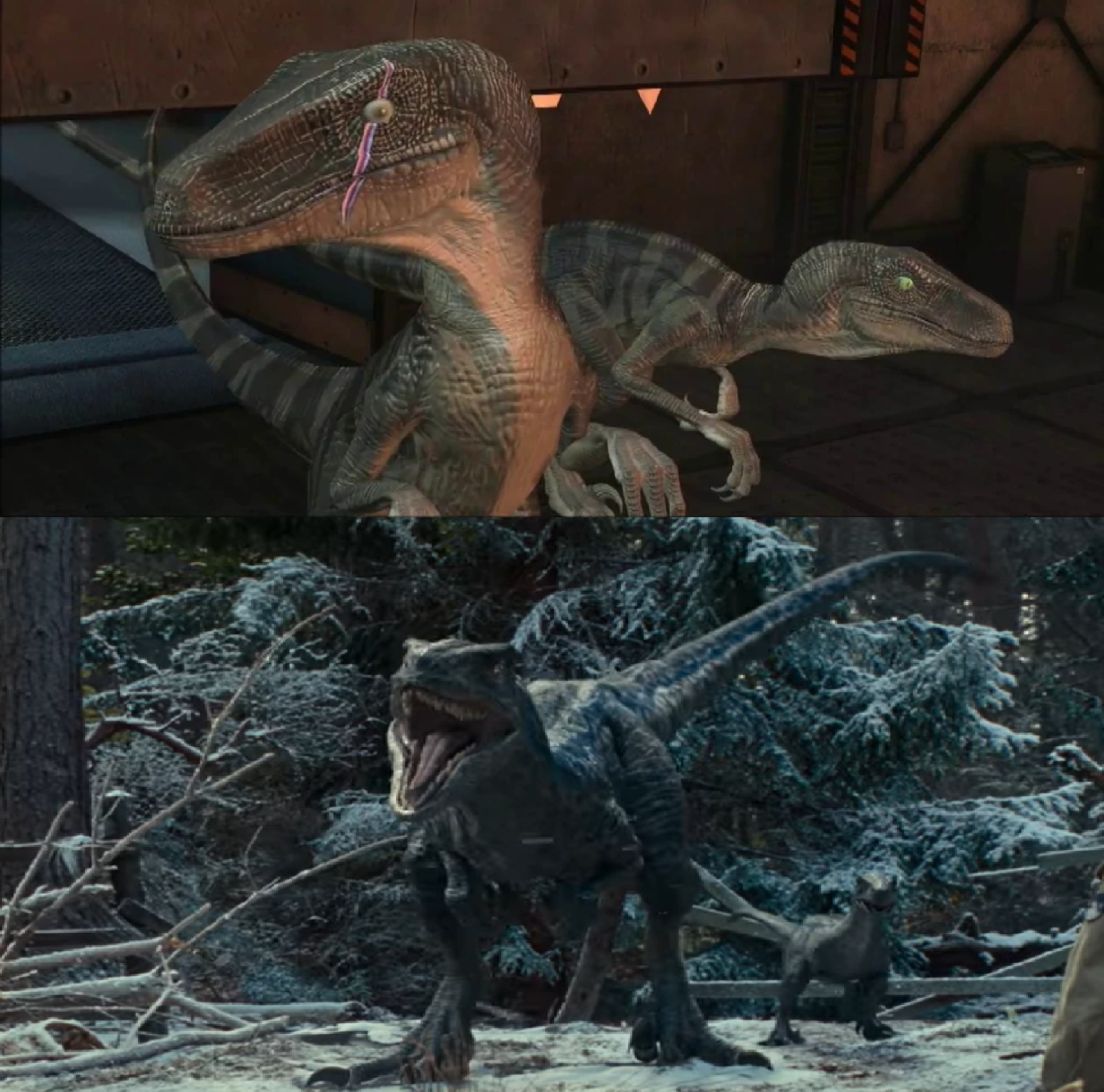 Beta Raptor X G Jr Blue and Beta vs Scarred Raptor Leader by MnstrFrc on DeviantArt