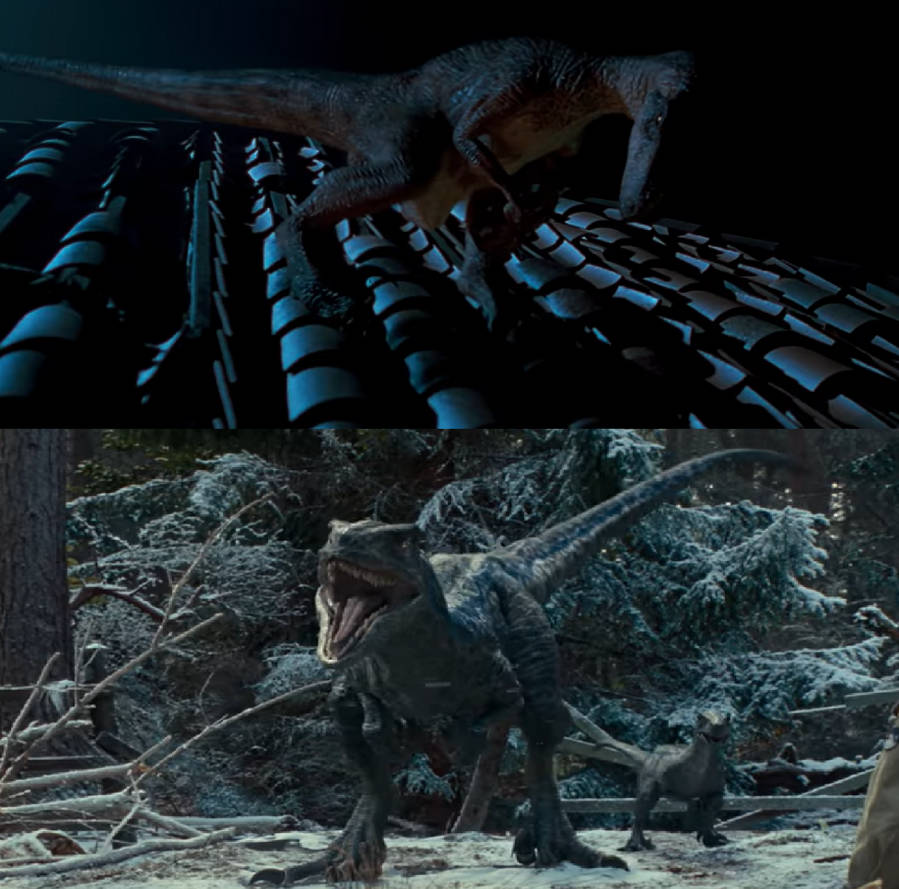 Blue Vs Riptor Blue and Beta vs Blue Velociraptor by MnstrFrc on DeviantArt