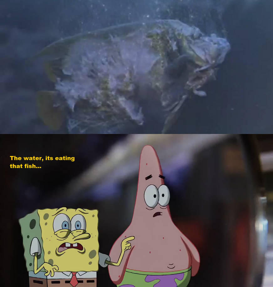 Fish Eating, SpongeBob, SpongeBob SquarePants