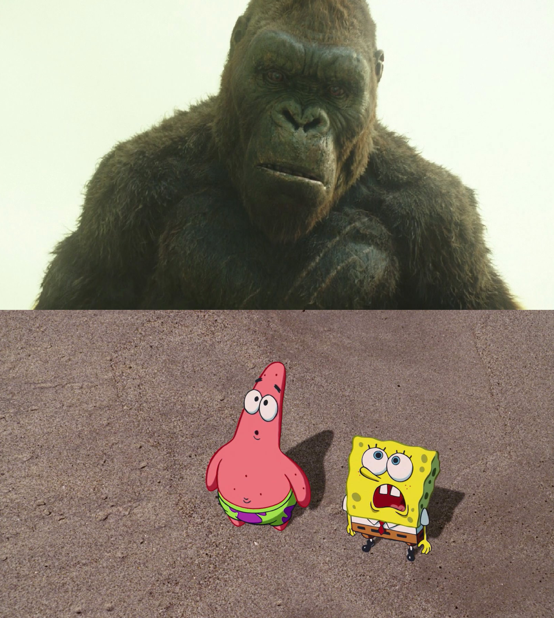 Patrick. See Spongebob and Patrick see Kong 1973 by MnstrFrc on DeviantArt