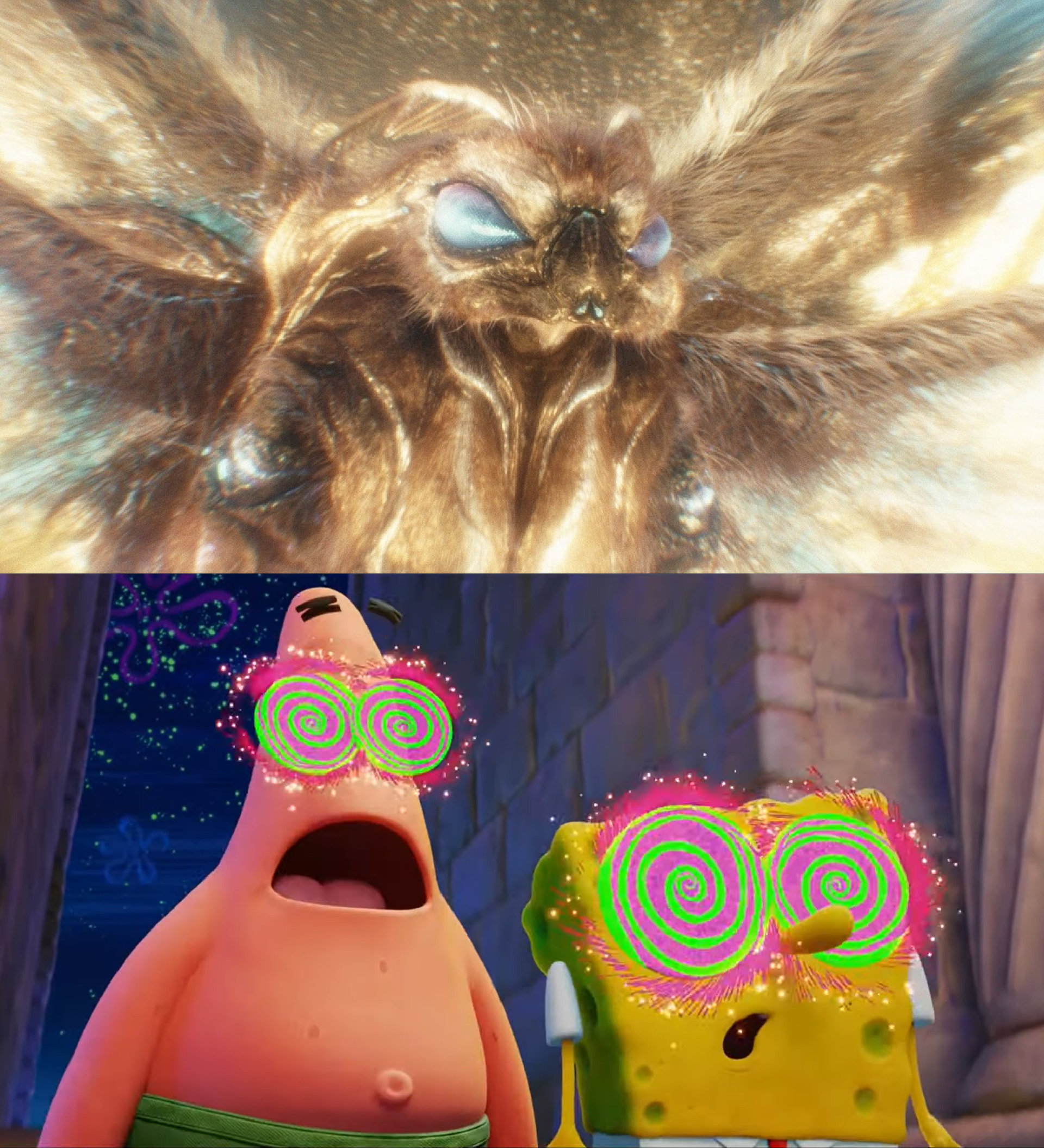 Patrick. See Spongebob and Patrick see Mothra 2024 by MnstrFrc on DeviantArt