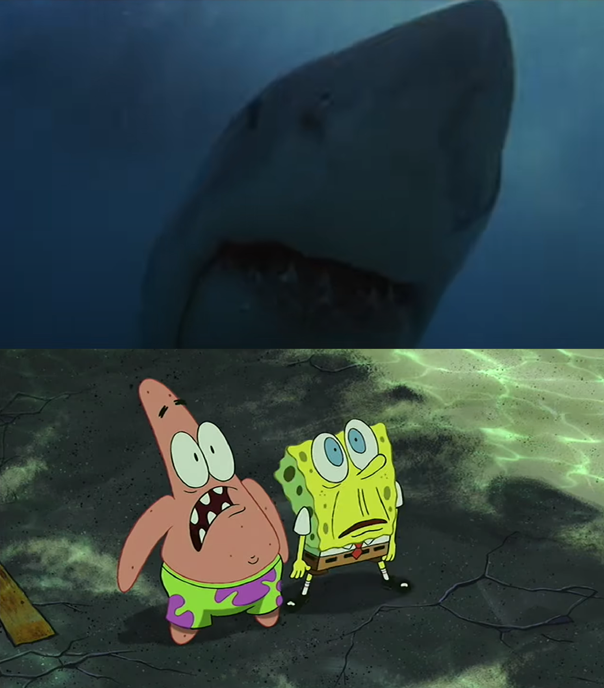 Patrick. See Spongebob and Patrick see Bruce the Shark! by MnstrFrc on DeviantArt