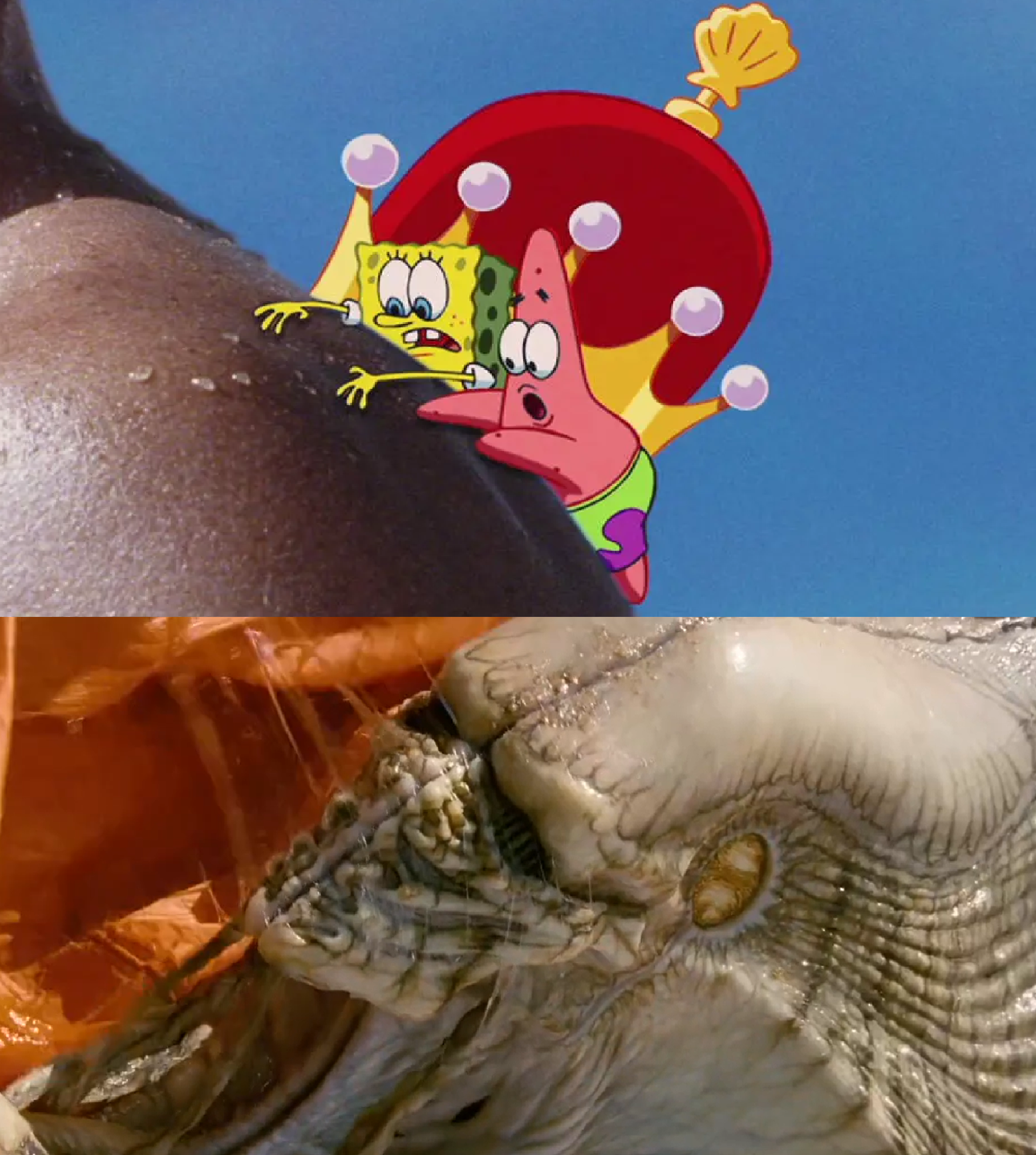 Patrick. See Spongebob and Patrick see Harvester by MnstrFrc on DeviantArt