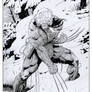 Wolverine Weapon X