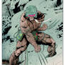 Wolverine Weapon X color