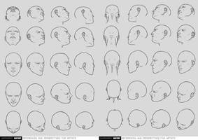 Anatomy References and Perspectives 06 07