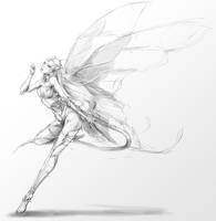 Dragonfairy Sketch