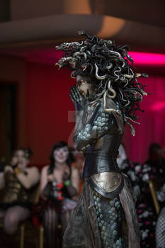 Medusa Costume 2014