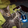 Technologies Cat