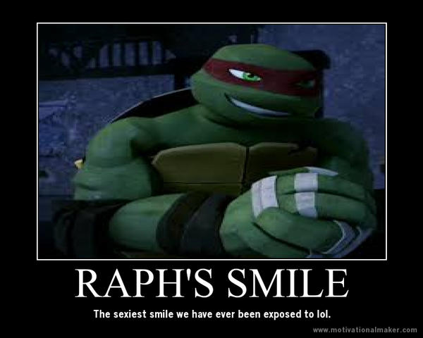 17 Cute Turtle Memes To Make You Smile Or Lol: Hilarious Picks