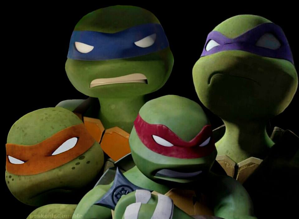 Angry Turtle 7 Ninja Turtles Angry Face
