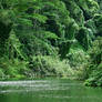 Kauai-RiverScene