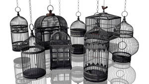 MMD Props DL | 8 types of birdcages