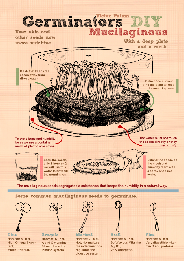 Infographics - Mucilaginous Germinator