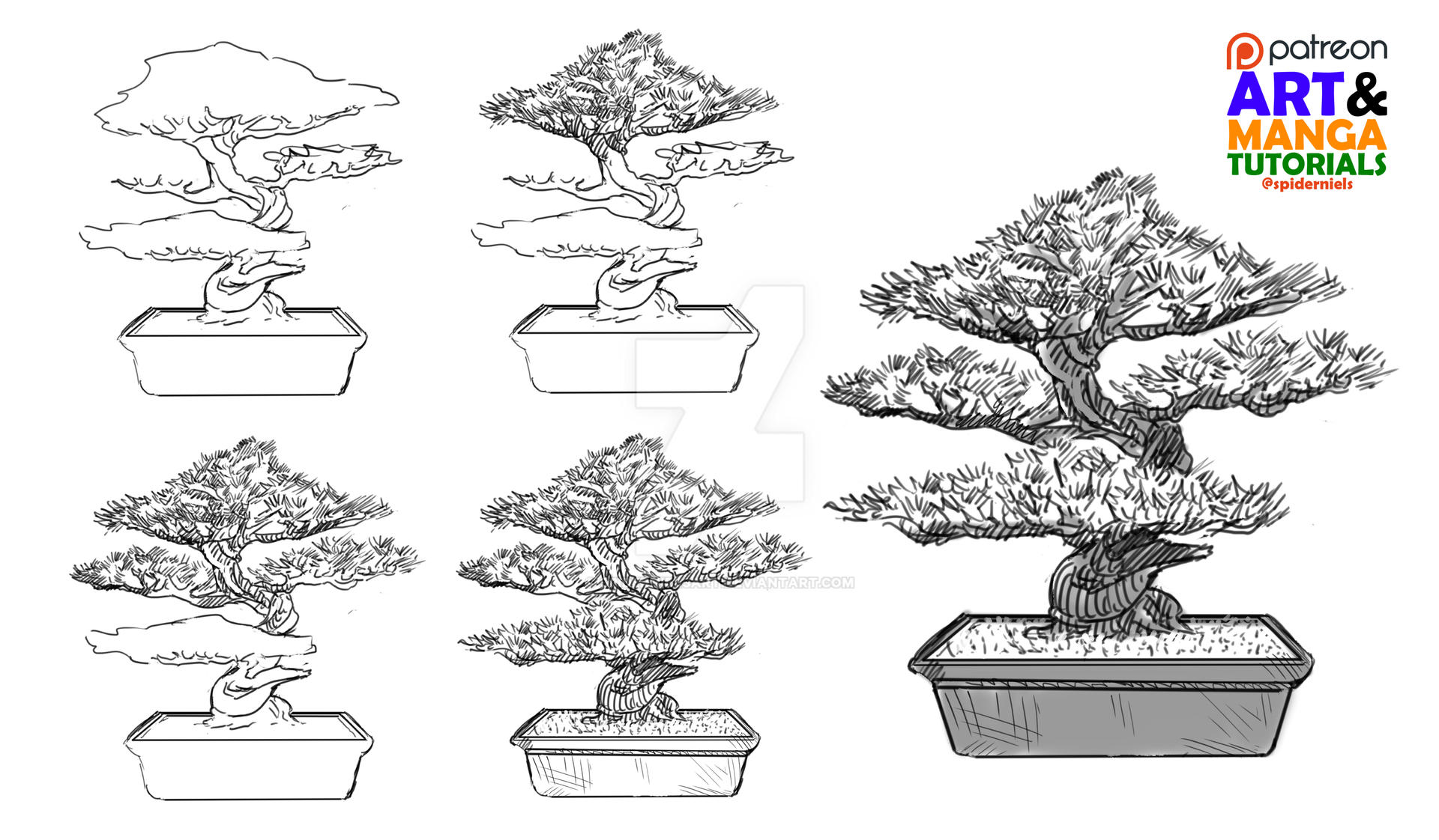 How to draw a Bonsai tree ? by spidernielsart on DeviantArt