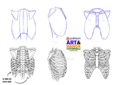 Out Getting Ribs Art Explore the Best Ribs Art | DeviantArt