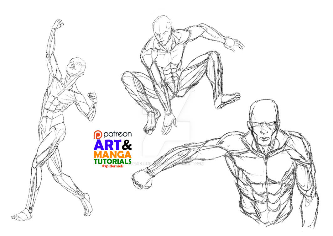 Quick Body Reference Anatomy Body reference sheet by spidernielsart on DeviantArt