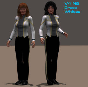 V4 NG Dress Whites