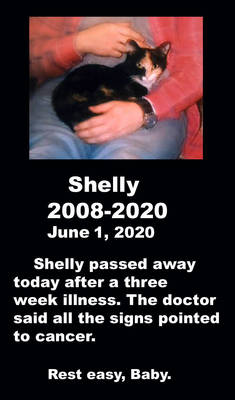 Shelly's final post