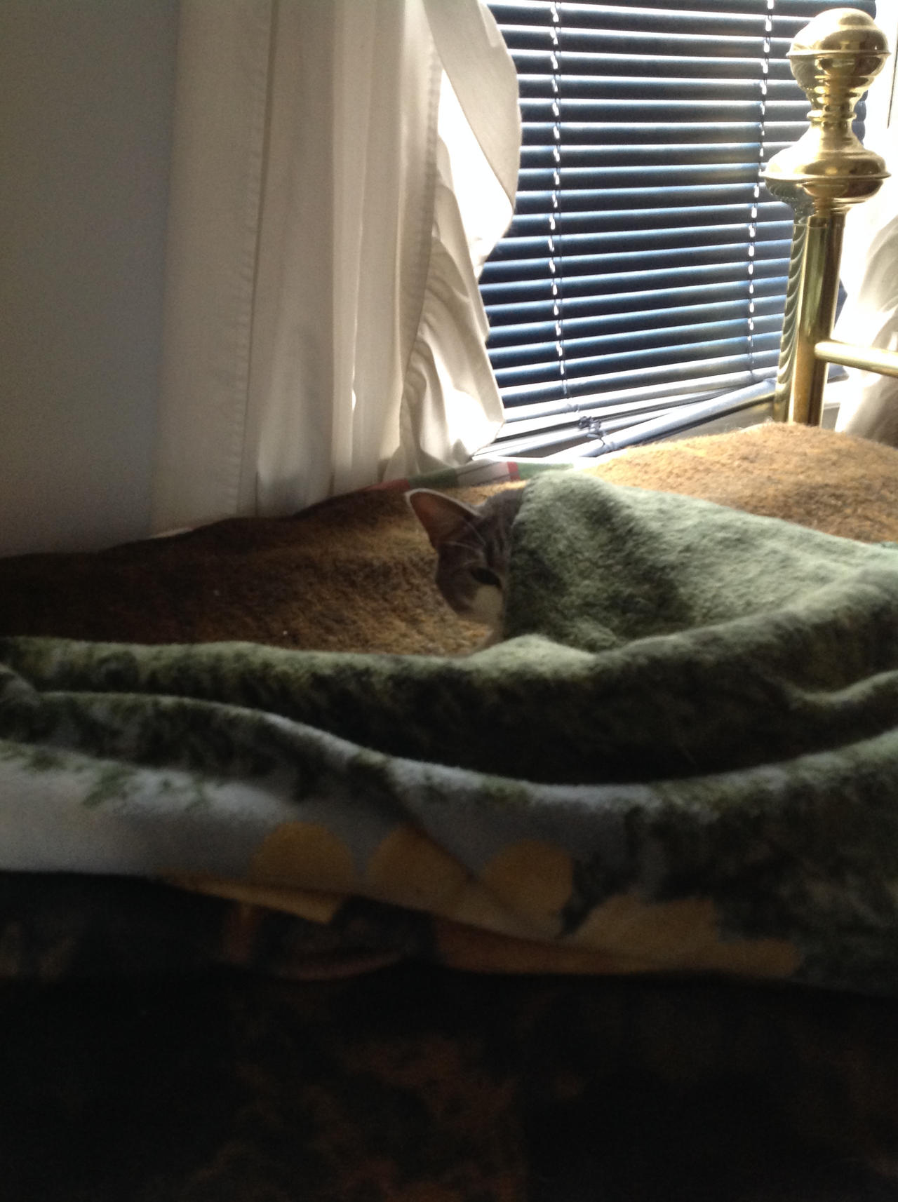 Kitara acting normal