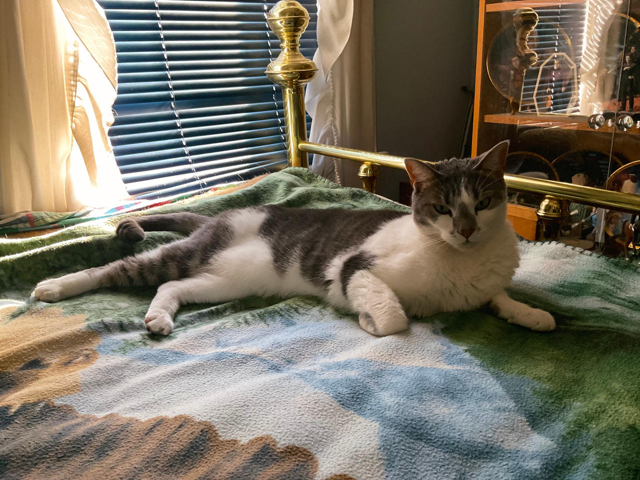 Kitara's portrait