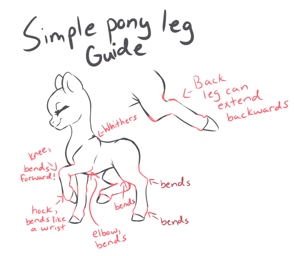 Mlp Leg Tutorial Simple Pony Leg Guide by CandiCorn-Art on DeviantArt