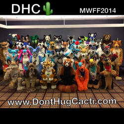 DHC Mwff 2014 group photo